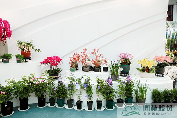 彩运网(中国游)官方网站