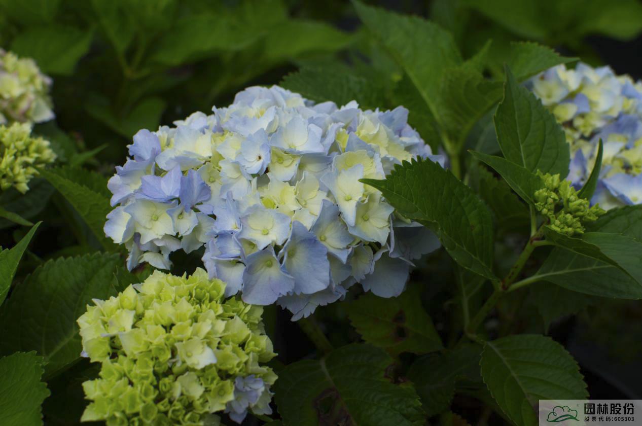 彩运网(中国游)官方网站