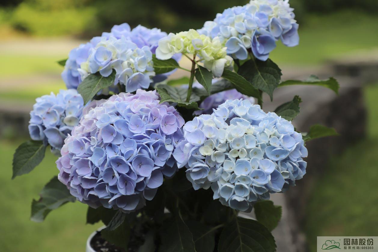 彩运网(中国游)官方网站