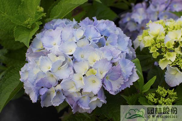 彩运网(中国游)官方网站