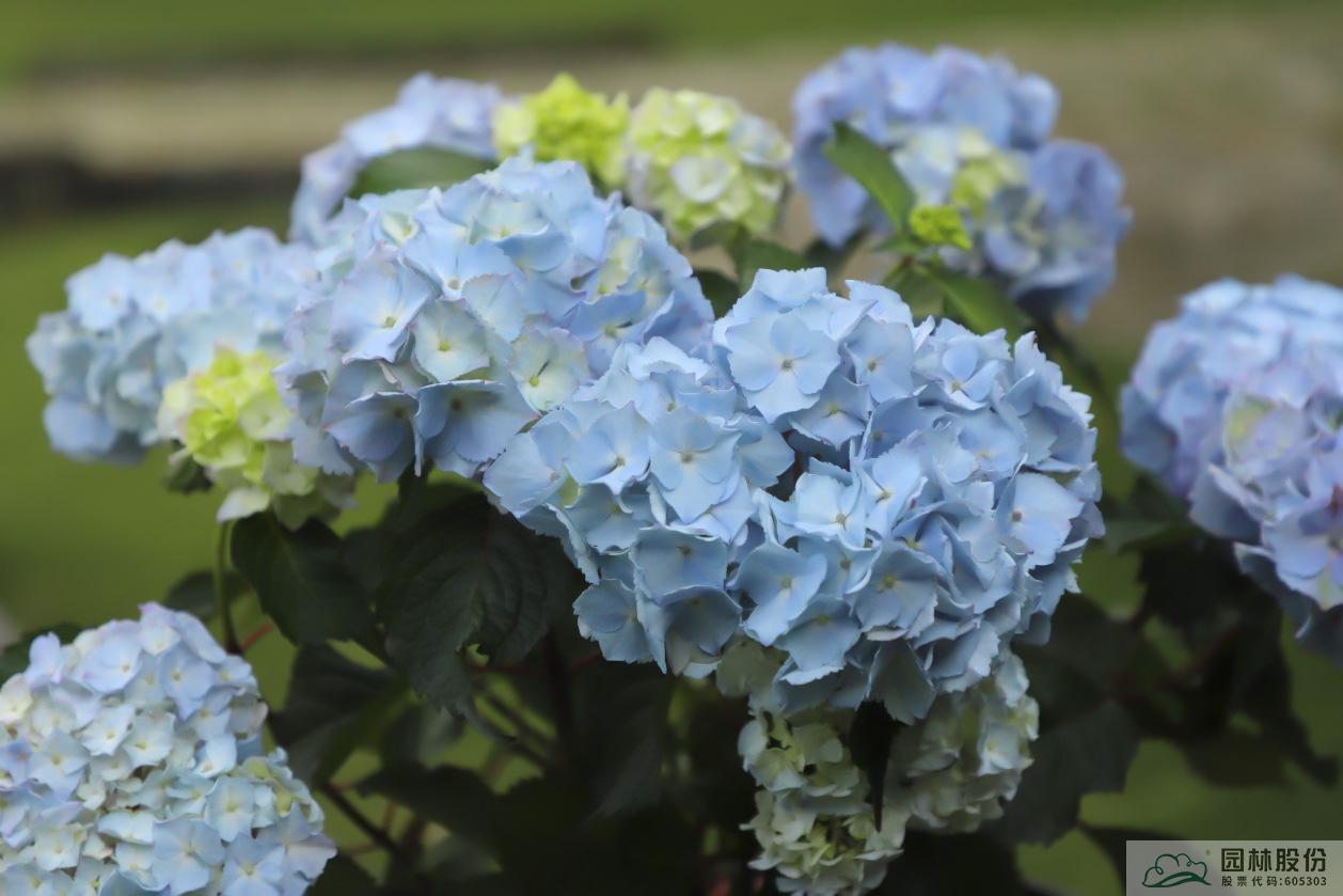 彩运网(中国游)官方网站