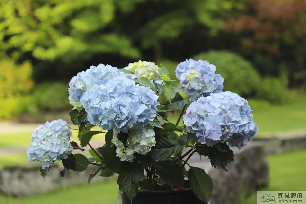 彩运网(中国游)官方网站