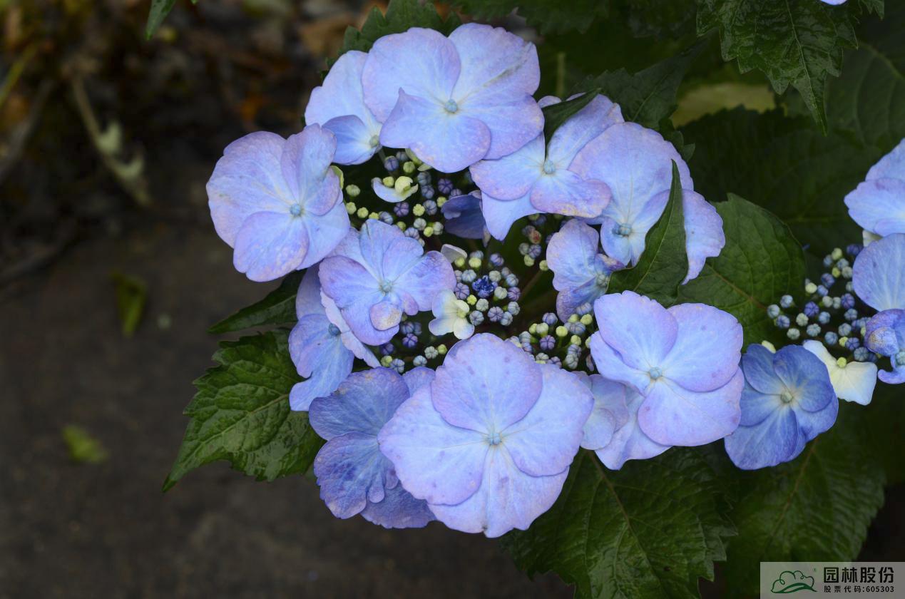 彩运网(中国游)官方网站