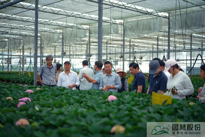 彩运网(中国游)官方网站