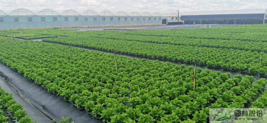 彩运网(中国游)官方网站