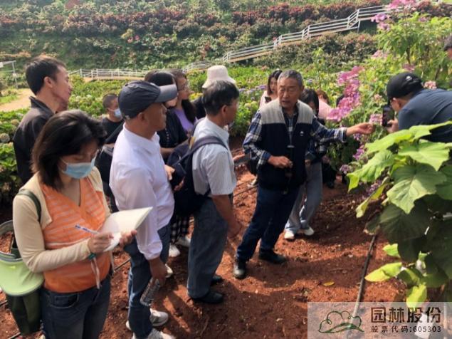 彩运网(中国游)官方网站