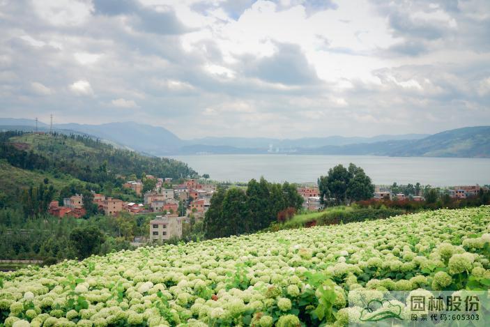 彩运网(中国游)官方网站