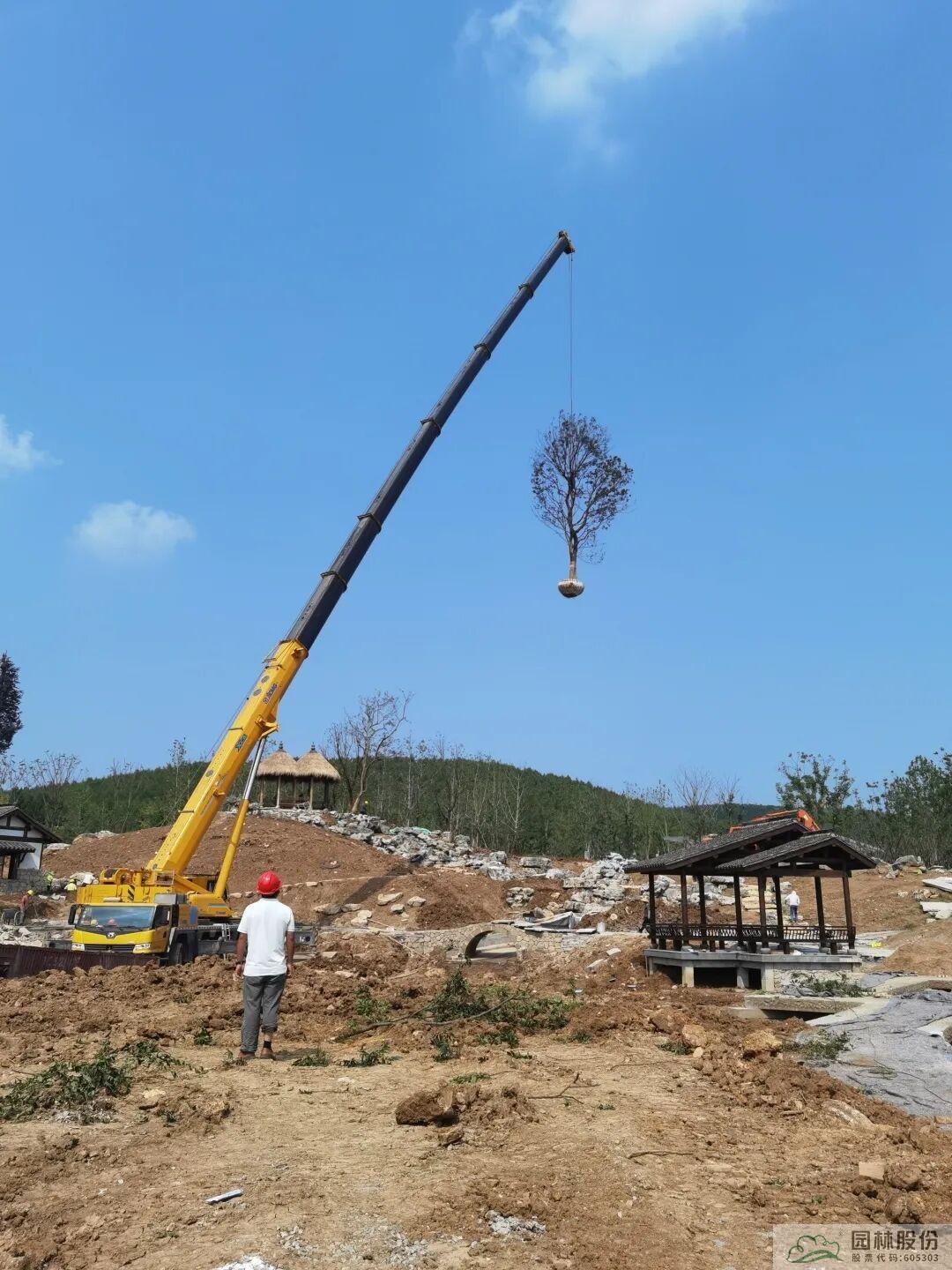 彩运网(中国游)官方网站