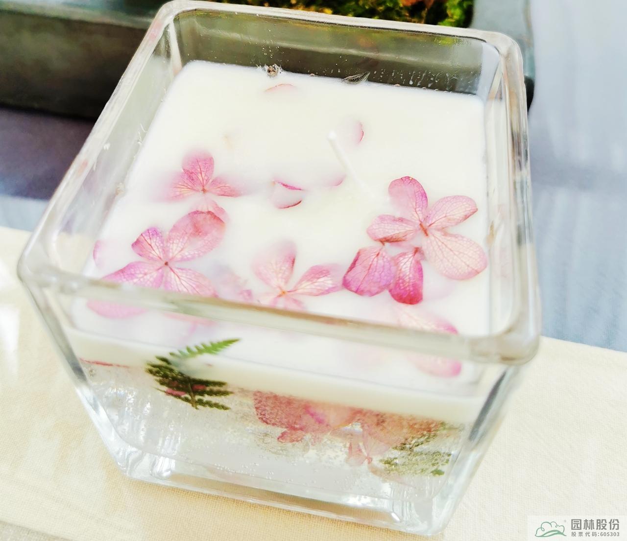 彩运网(中国游)官方网站