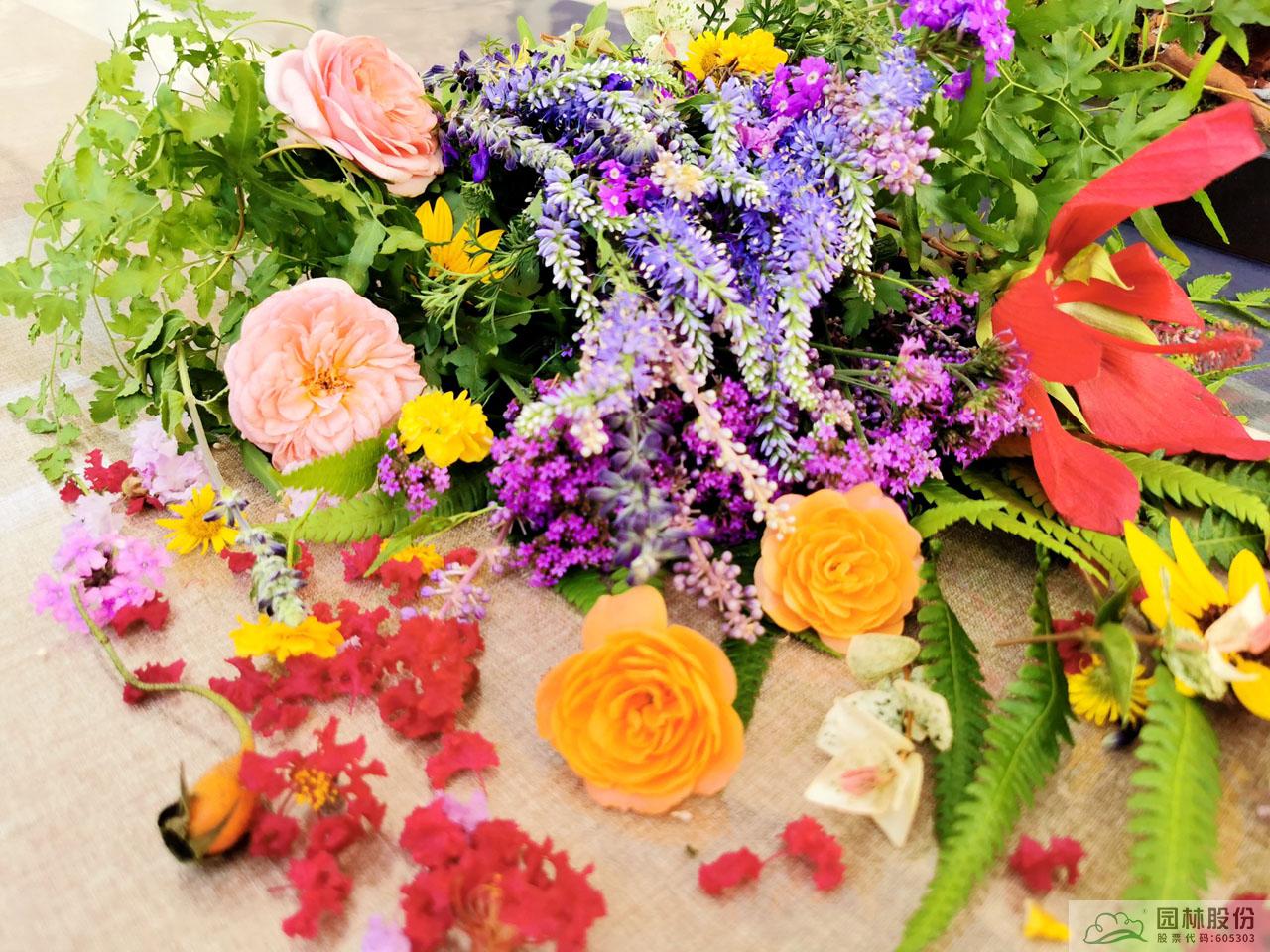 彩运网(中国游)官方网站