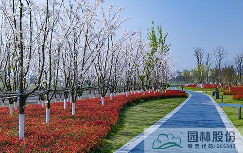 彩运网(中国游)官方网站