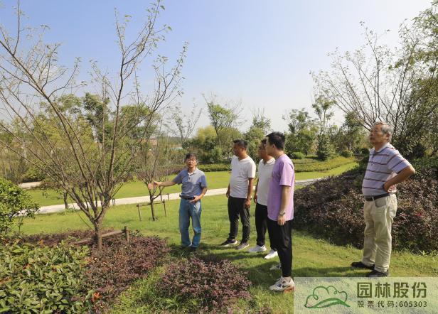 彩运网(中国游)官方网站