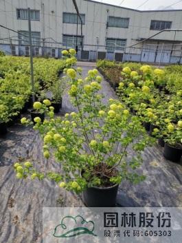 彩运网(中国游)官方网站