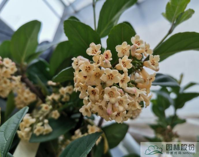 彩运网(中国游)官方网站