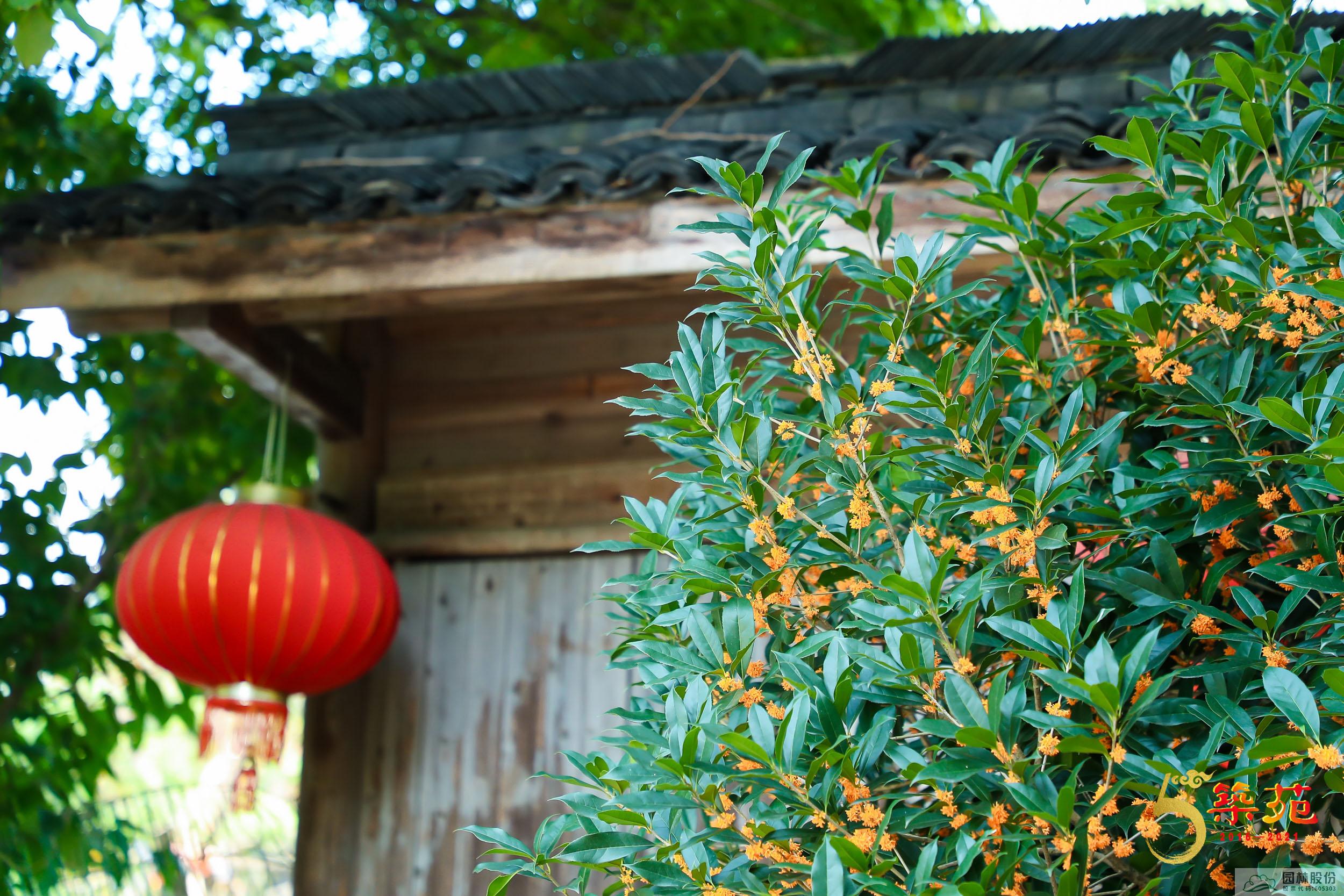 彩运网(中国游)官方网站