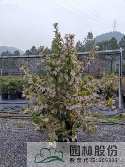 彩运网(中国游)官方网站