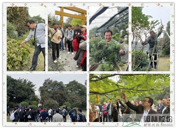 彩运网(中国游)官方网站