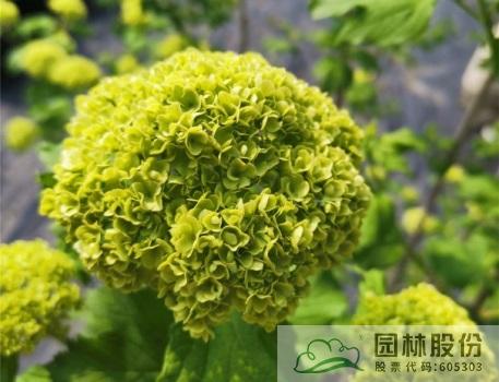 彩运网(中国游)官方网站