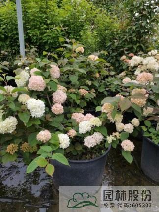 彩运网(中国游)官方网站