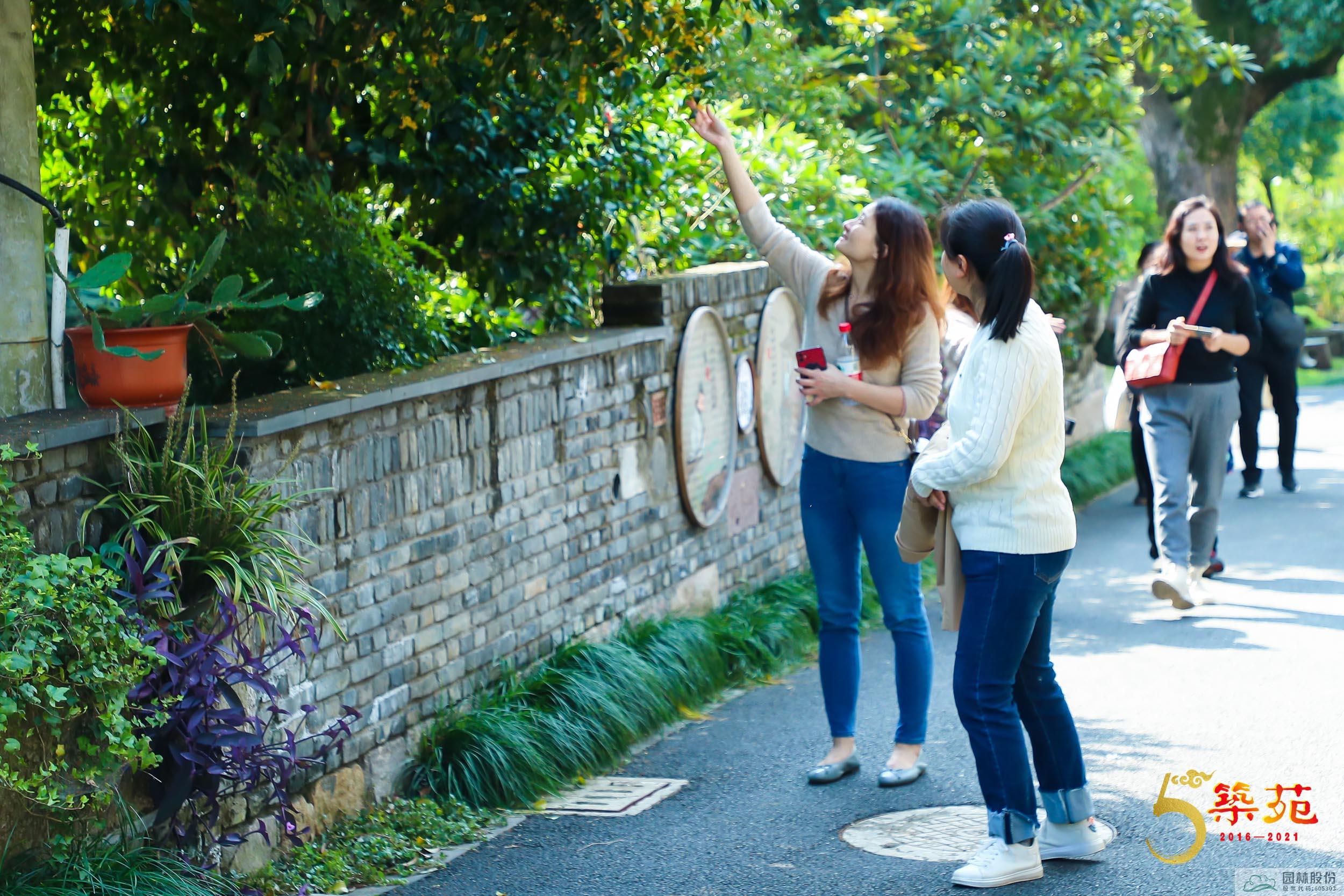 彩运网(中国游)官方网站