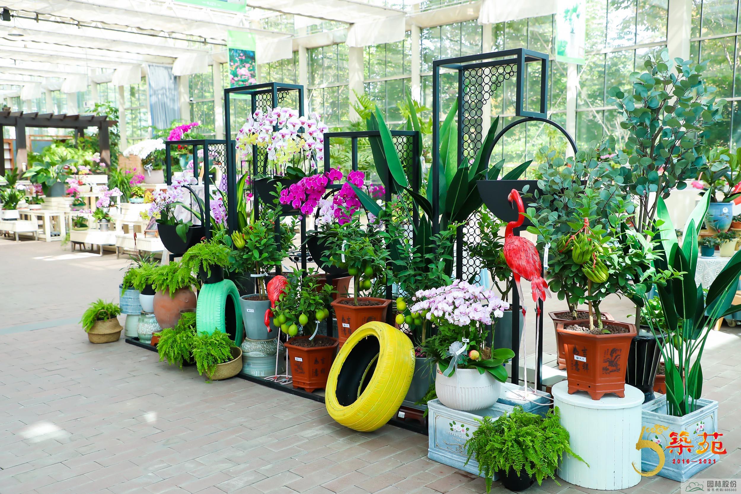 彩运网(中国游)官方网站