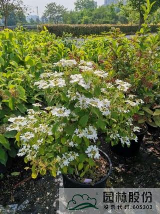 彩运网(中国游)官方网站