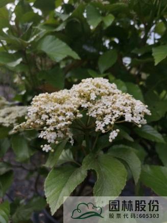 彩运网(中国游)官方网站