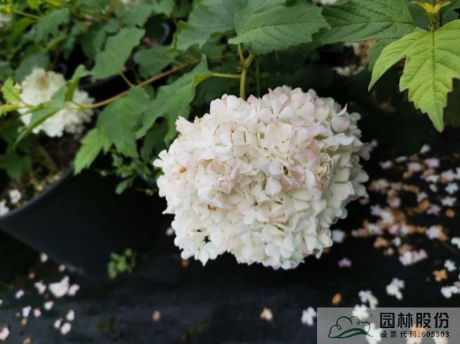 彩运网(中国游)官方网站