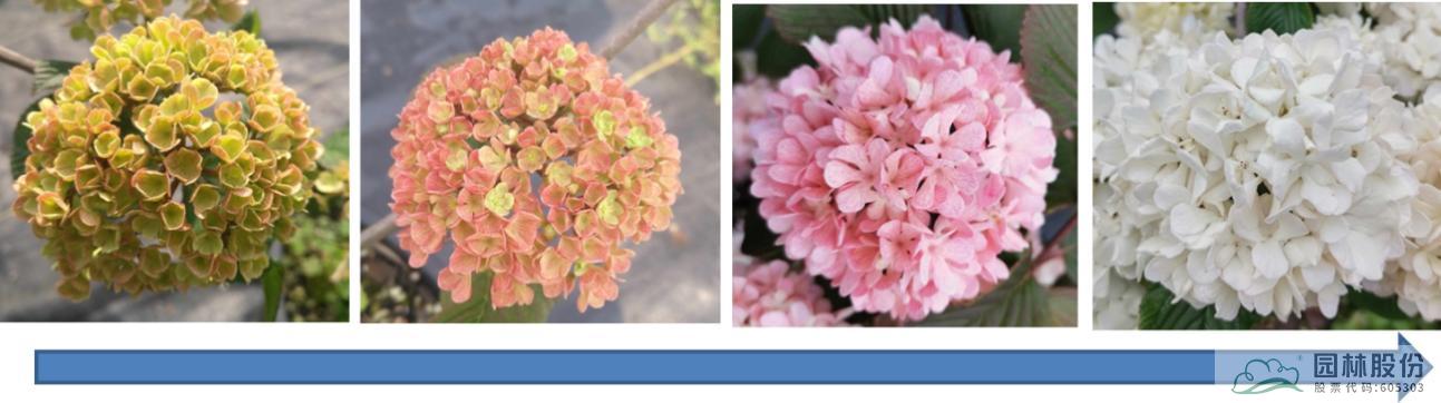 彩运网(中国游)官方网站