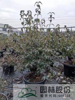 彩运网(中国游)官方网站