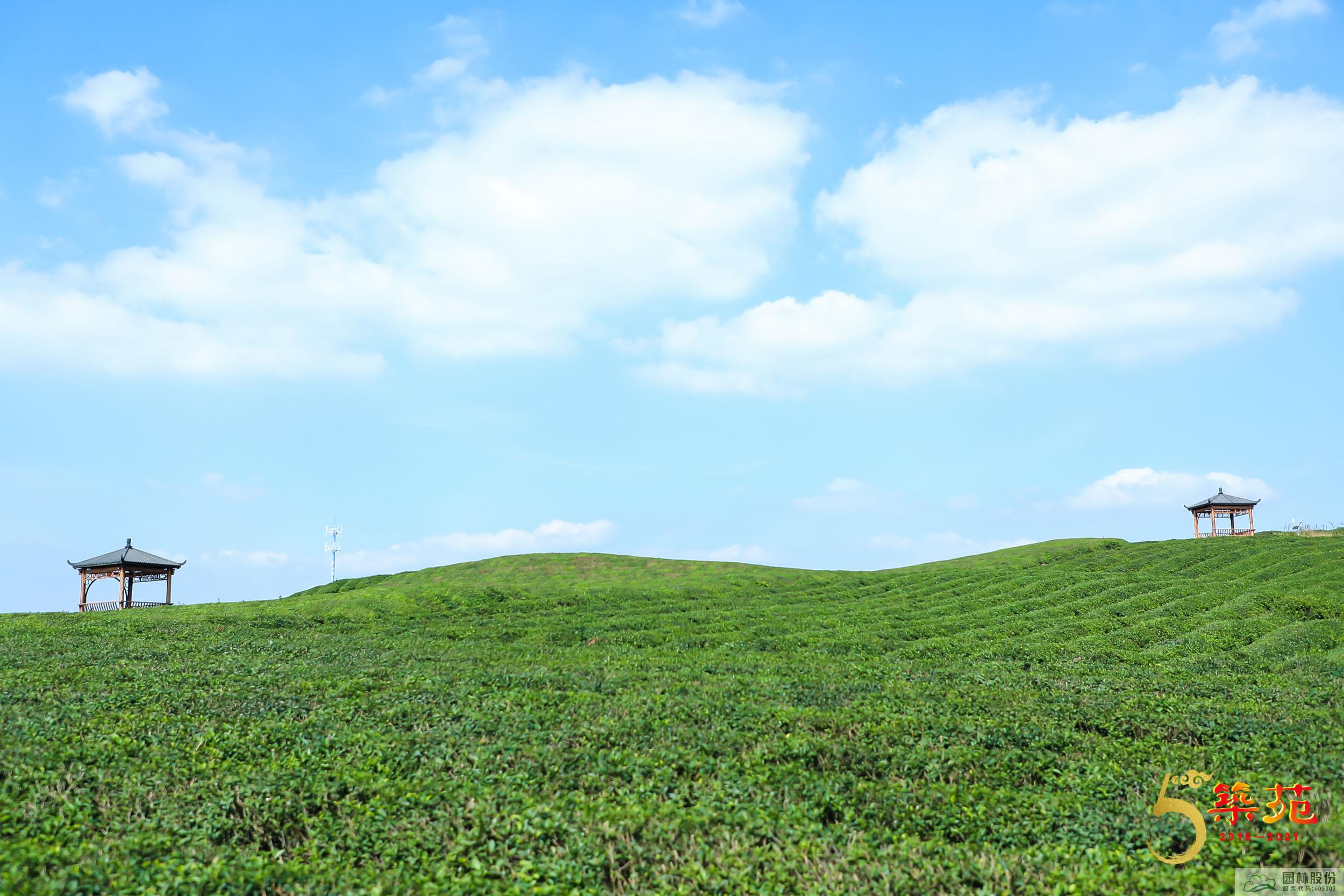 彩运网(中国游)官方网站