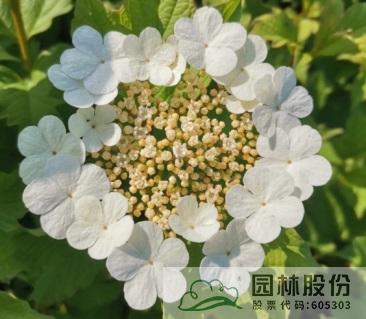 彩运网(中国游)官方网站