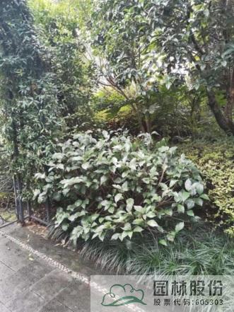 彩运网(中国游)官方网站