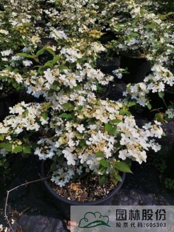 彩运网(中国游)官方网站