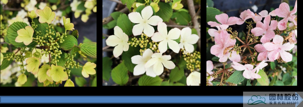 彩运网(中国游)官方网站