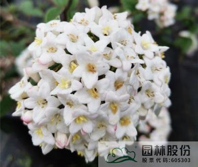 彩运网(中国游)官方网站