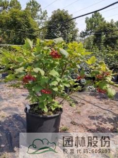 彩运网(中国游)官方网站