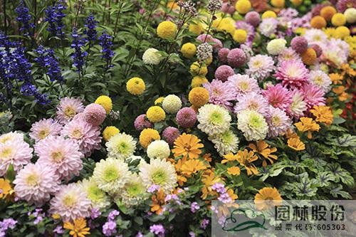 彩运网(中国游)官方网站