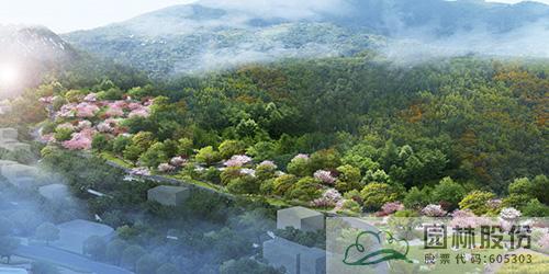 彩运网(中国游)官方网站