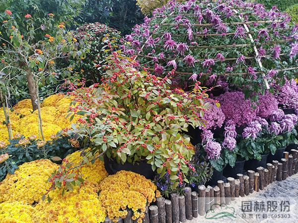 彩运网(中国游)官方网站