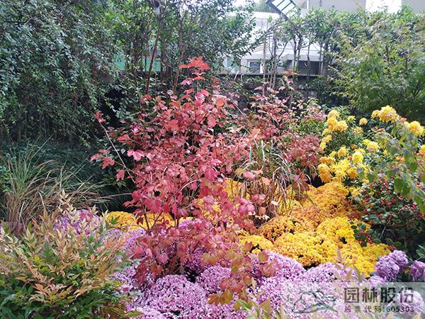 彩运网(中国游)官方网站