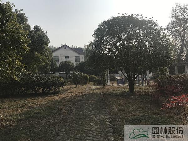 彩运网(中国游)官方网站