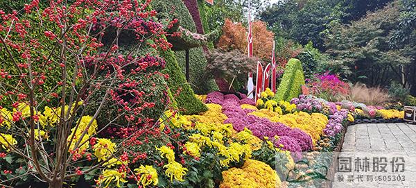 彩运网(中国游)官方网站