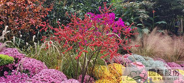 彩运网(中国游)官方网站