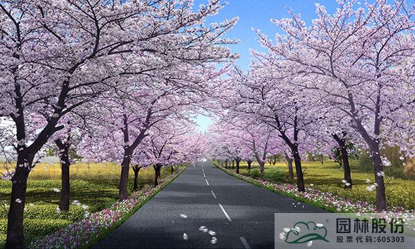 彩运网(中国游)官方网站