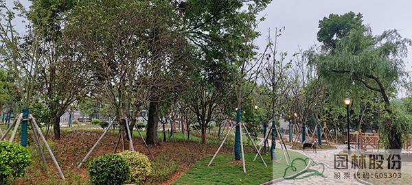 彩运网(中国游)官方网站