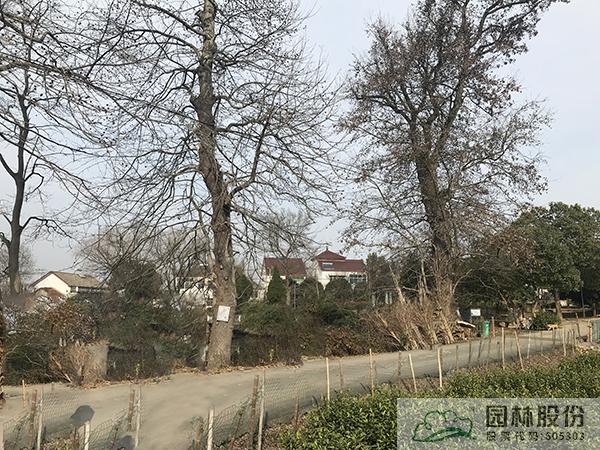 彩运网(中国游)官方网站