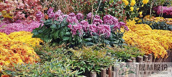 彩运网(中国游)官方网站