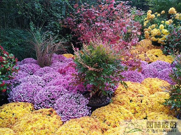 彩运网(中国游)官方网站