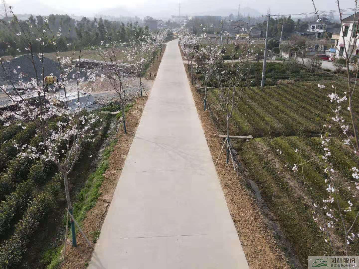 彩运网(中国游)官方网站